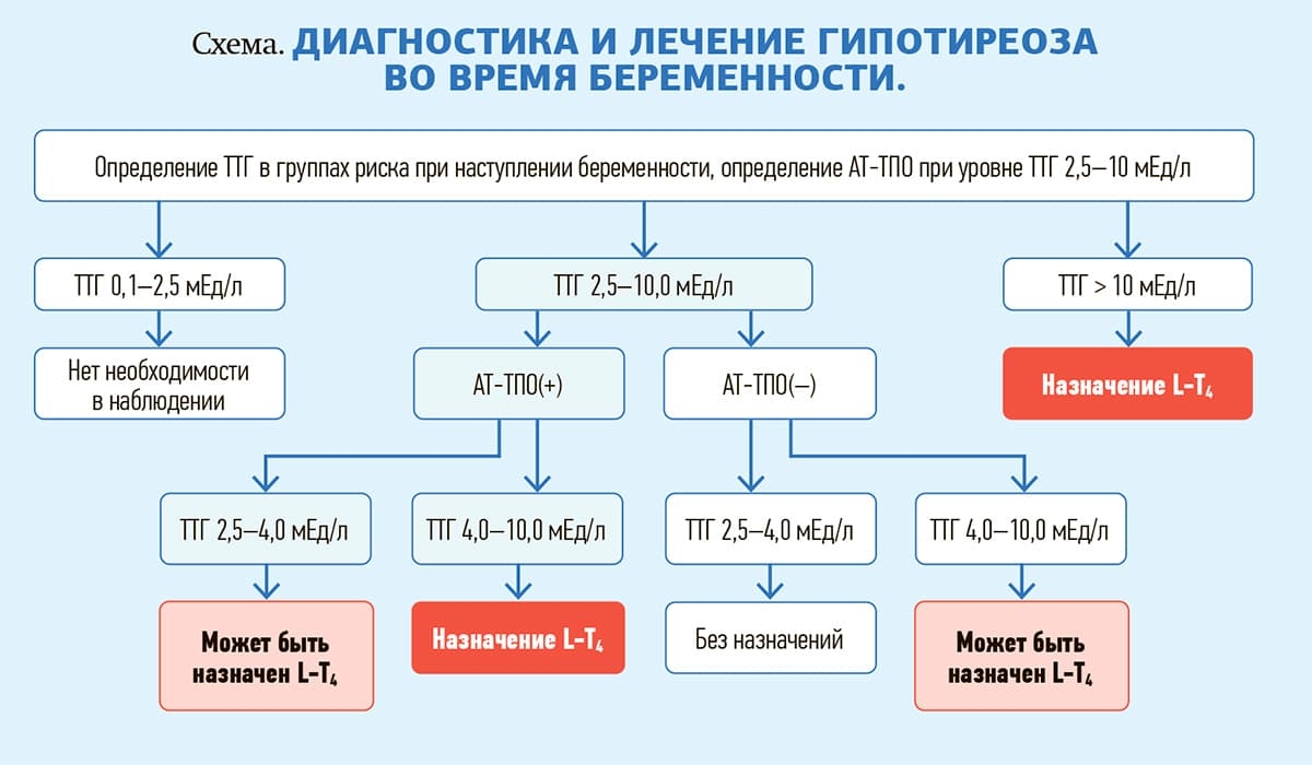 Shema diagnostika gipotireoza