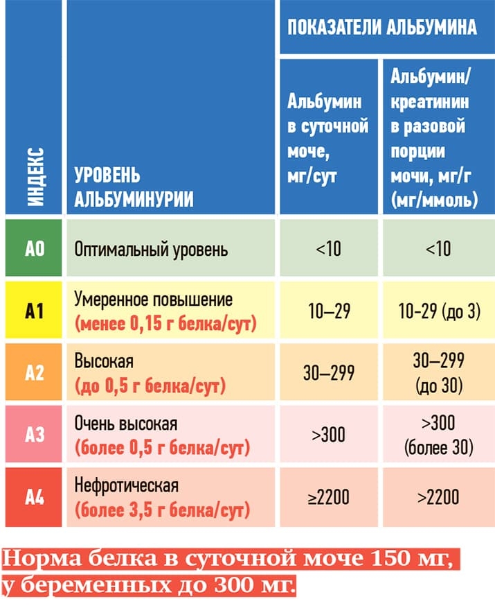 Hronicheskayab olezn pochek1