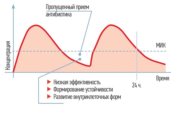 Farmakokineticheskaya krivaya amoksicillina