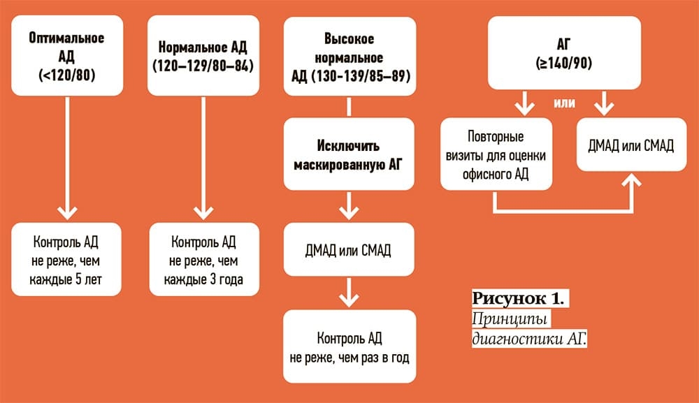 Principy diagnostiki ris1