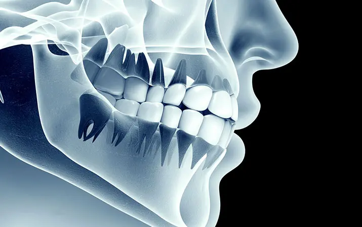 26 сентября пройдёт мастер-класс «Физиология зуба»