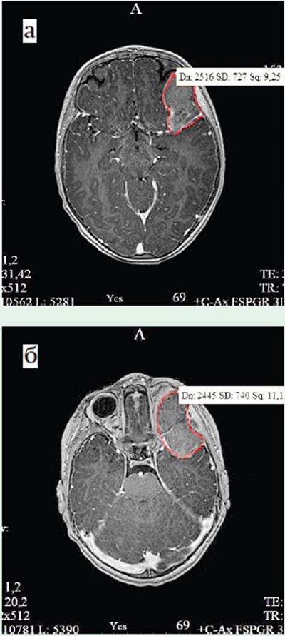 diagnostika 1 ris 21.08