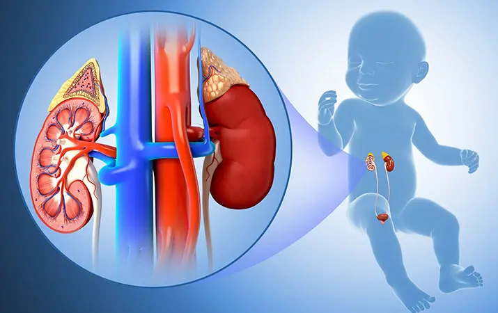 Детская нефрология