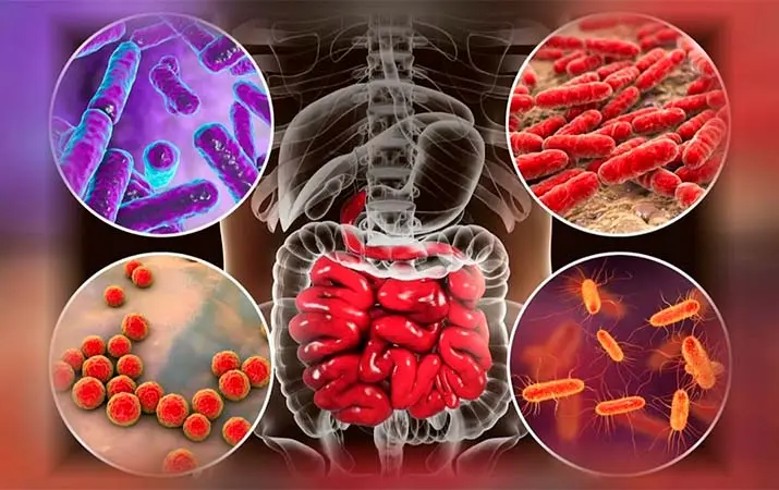 Микробиом в кишечнике
