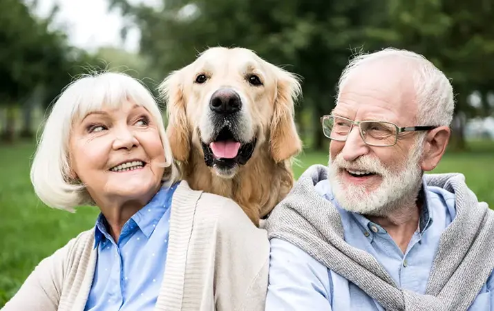 Пожилые владельцы собак