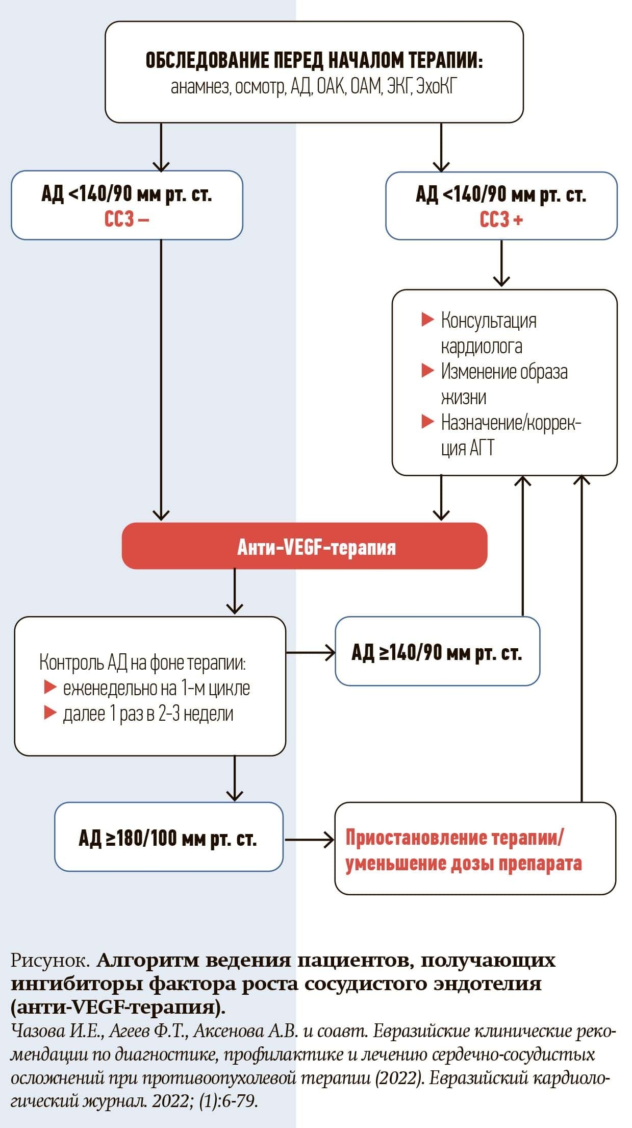 jjacz43f