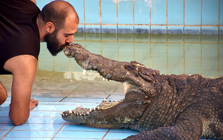 Dangerous kiss