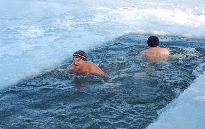 В чем сила, морж?..