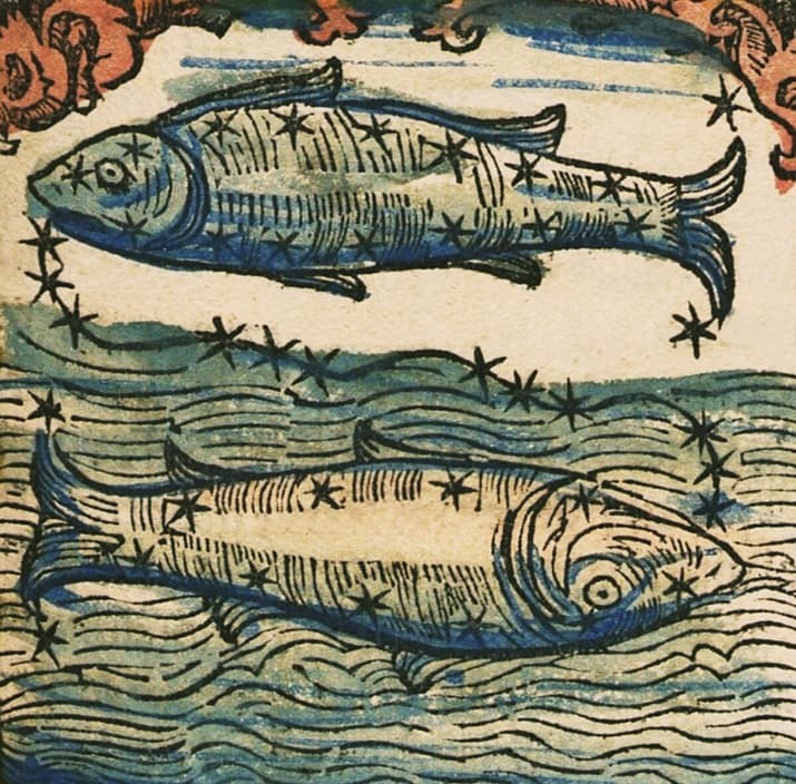 nbvg434