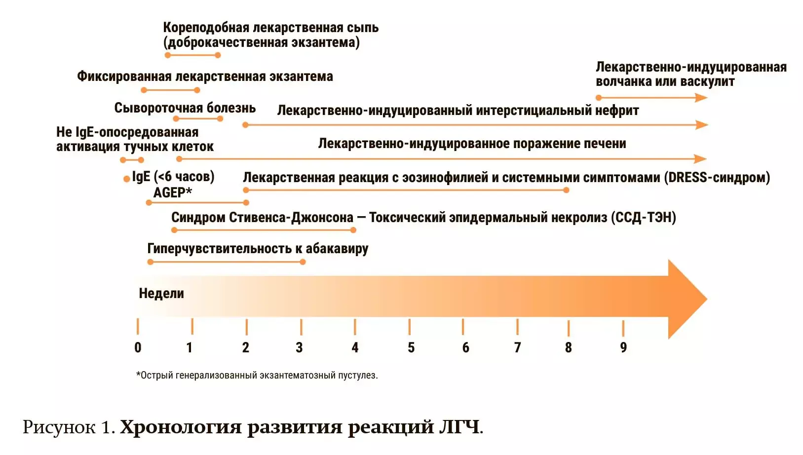vvxfd43x 1