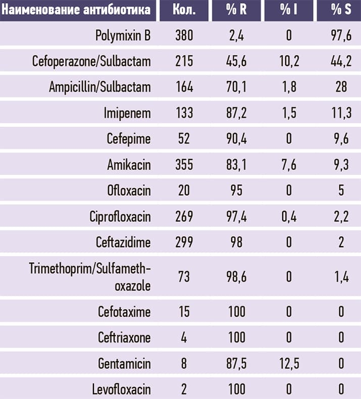 Acinetobacter baumannii