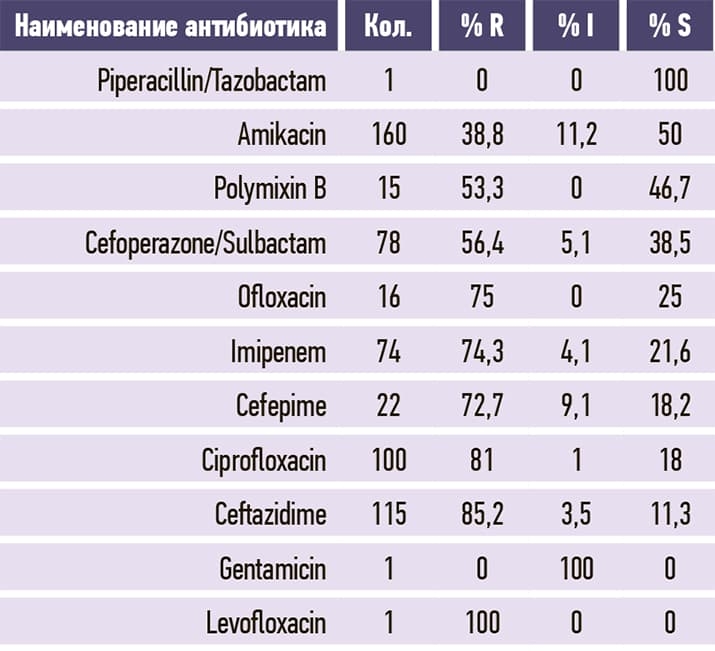 Pseudomonas aeruginosa