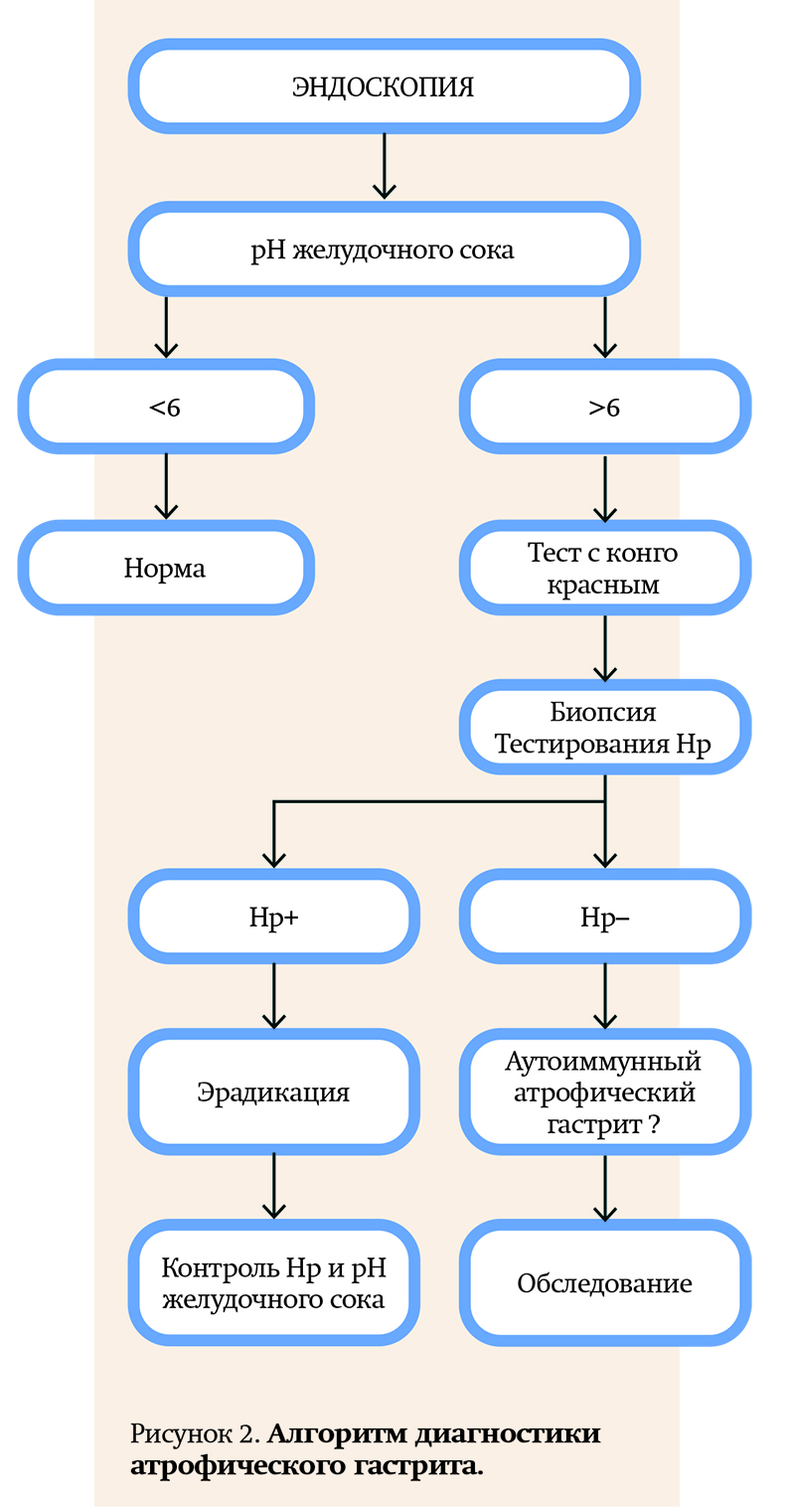 algaritmdiagnostniki