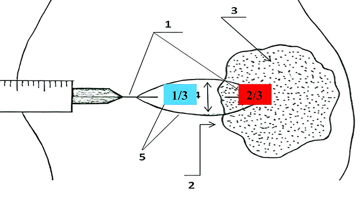 bvc43xz34