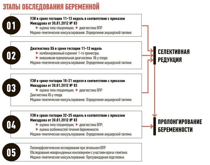 etapy obsledovaniya