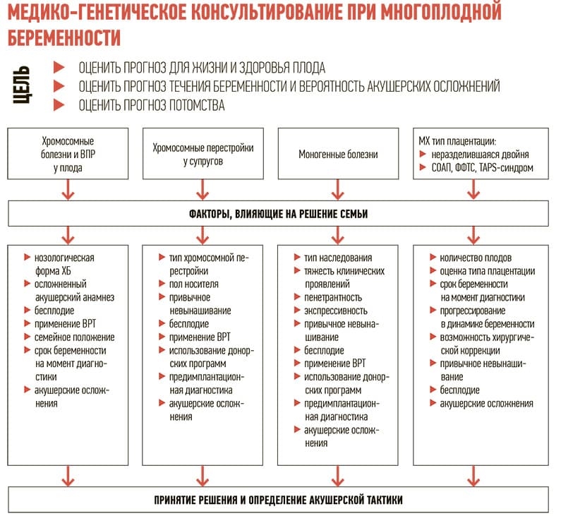 konsultirovanie mnogoplodnoj beremennosti