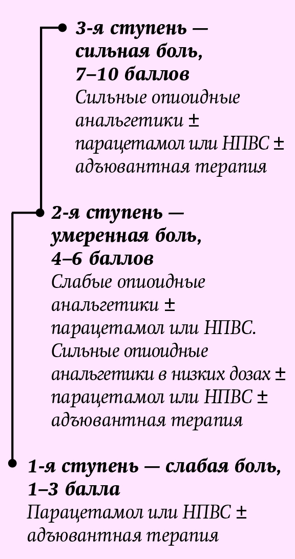 hvbgrf65