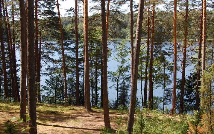 Гаючыя воды ўшацкіх крыніц